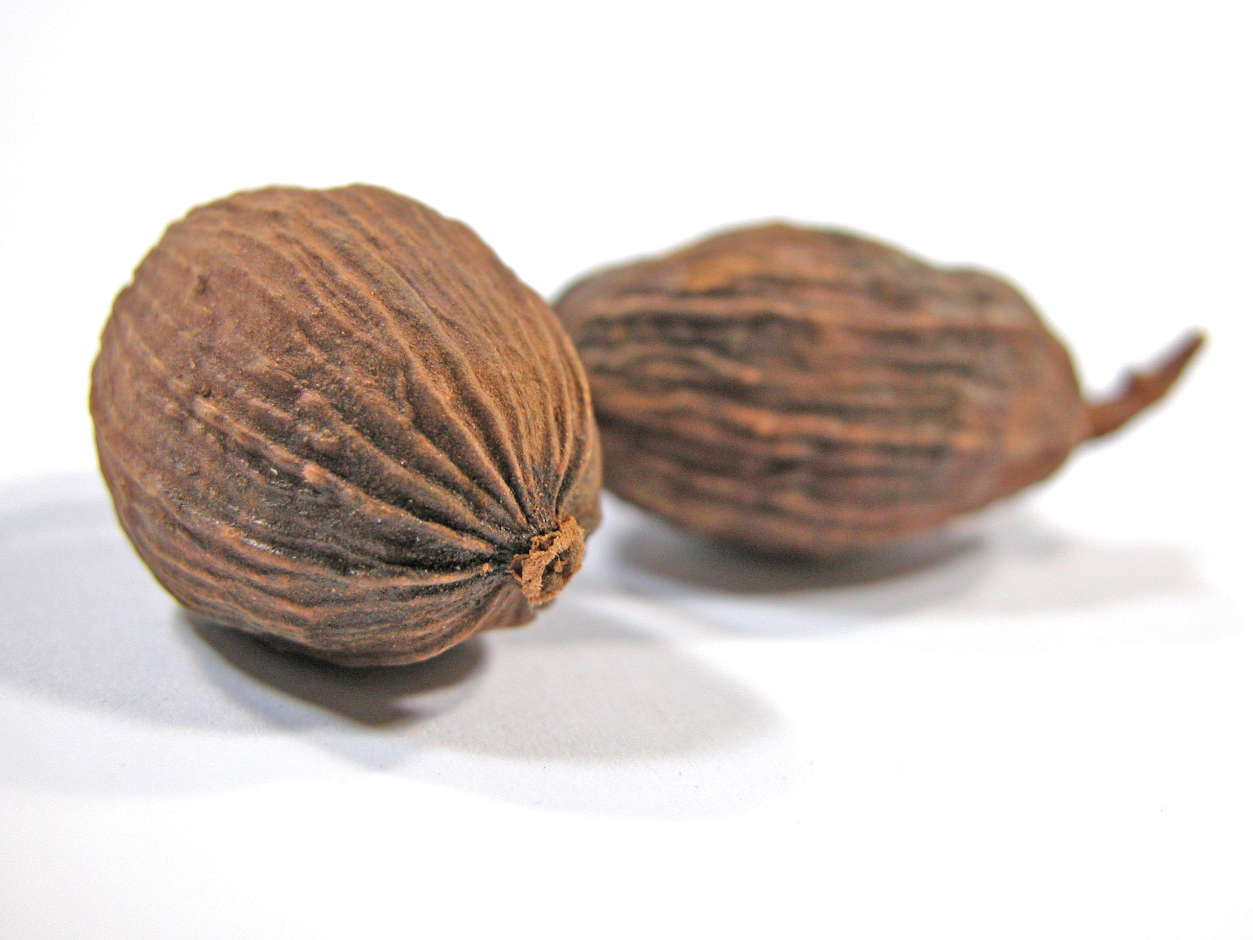 NUTMEG 01 - Essence F